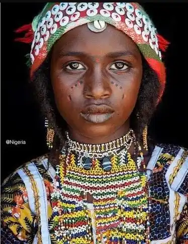 Os Mercadores do Sael: Como o Povo Hausa Moldou as Rotas da África Ocidental 5 mulher do povo hausa