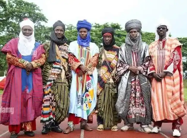 Os Mercadores do Sael: Como o Povo Hausa Moldou as Rotas da África Ocidental 4 povo hausa muculmano
